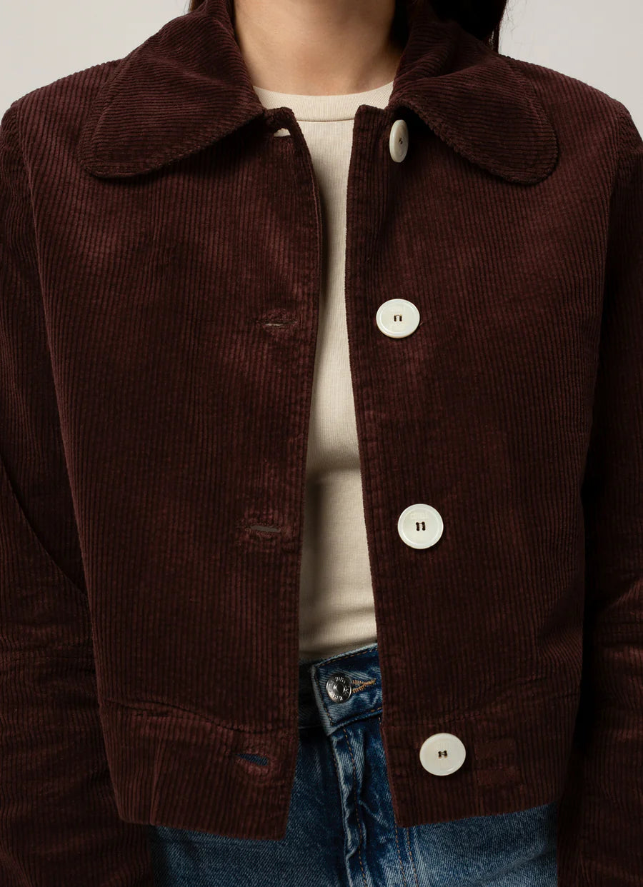 Veste Daisy femme chocolat
