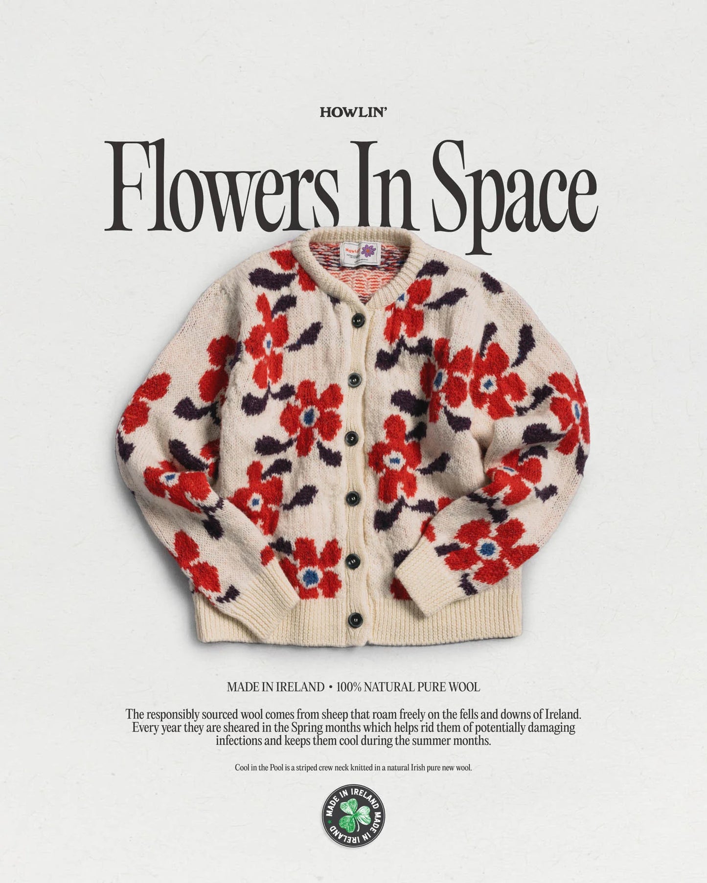 Cardigan Flower in Space - Cherry
