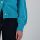 Cardigan Mélodies of Love - Dreamstone