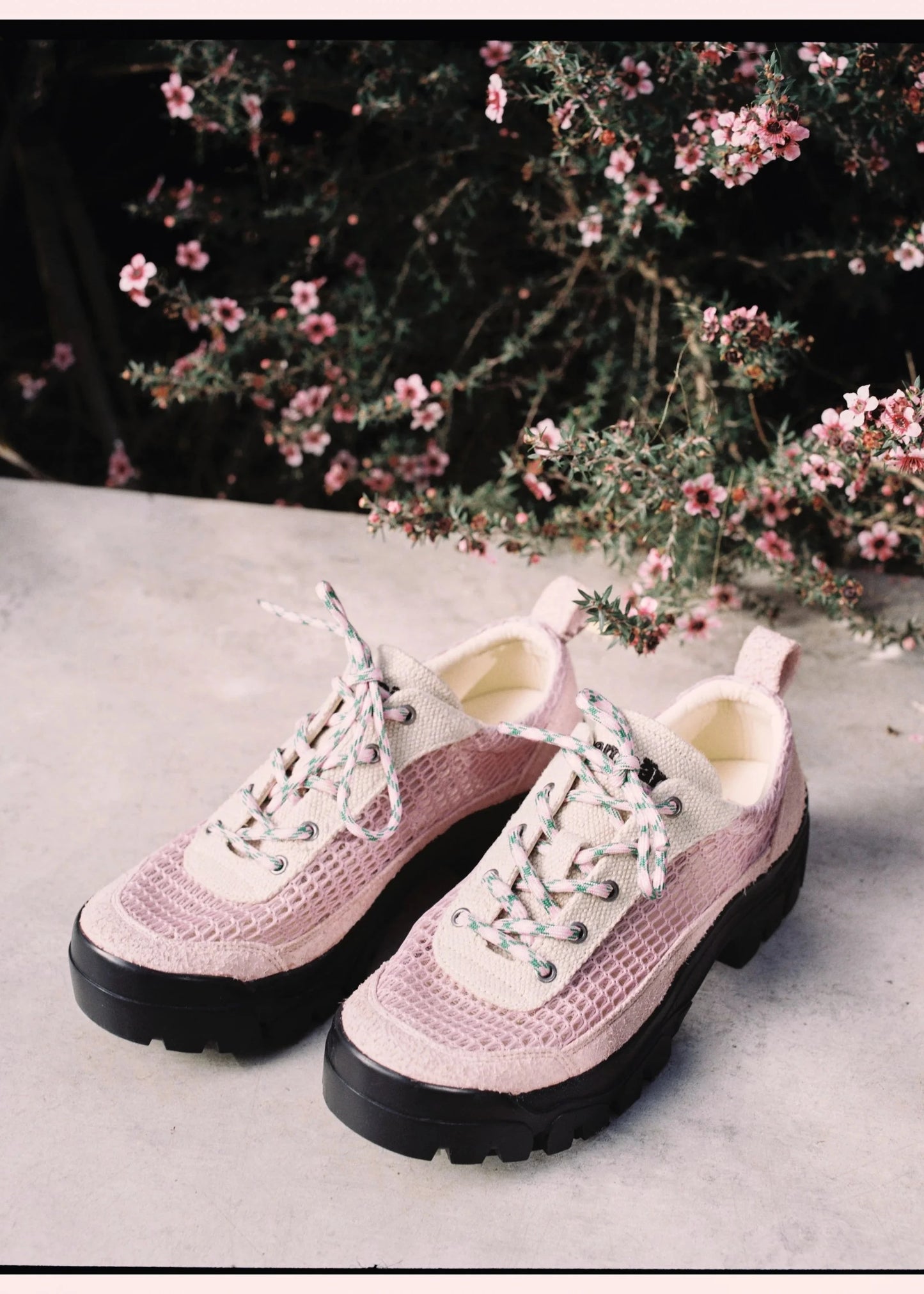 Dharma Mesh Pink