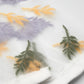 Chaussettes Les Alpes Pastel